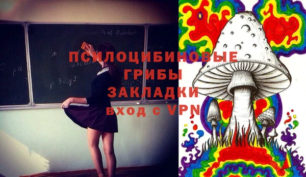 мескалин Заводоуковск