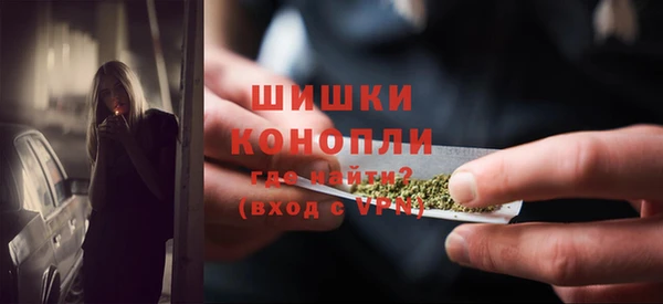 амф Осинники