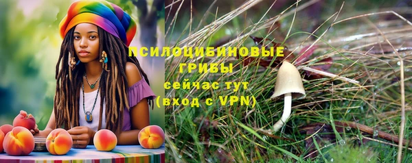 PSILOCYBIN Остров