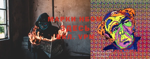 амф Осинники