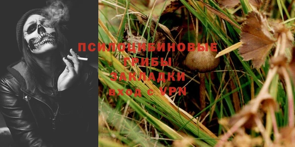 амф Осинники