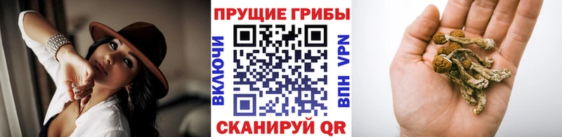 Галлюциногенные грибы Psilocybe  маркетплейс Telegram  Сосенский 